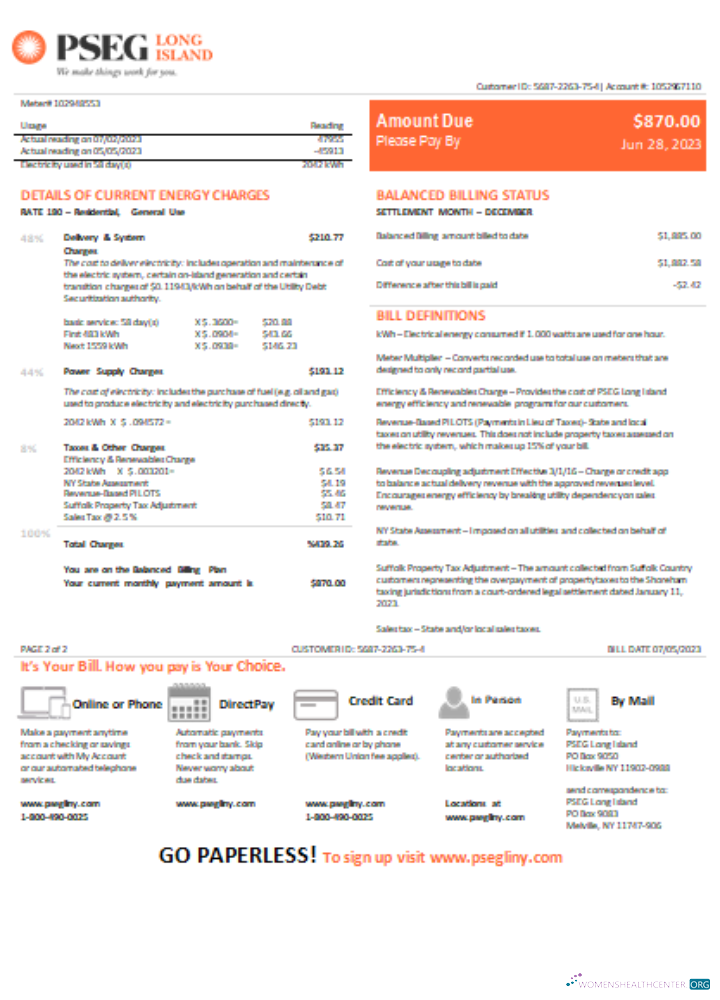 Download New Jersey PSEG electricity utility bill, SCR, page 2 Photoshop template